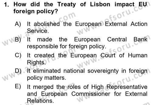 The European Union And Global Politics Dersi 2024 - 2025 Yılı (Vize) Ara Sınav Soruları 1. Soru