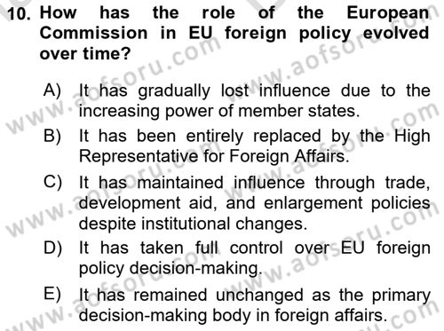 The European Union And Global Politics Dersi 2024 - 2025 Yılı (Vize) Ara Sınav Soruları 10. Soru