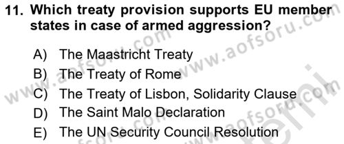 The European Union And Global Politics Dersi 2024 - 2025 Yılı (Vize) Ara Sınav Soruları 11. Soru