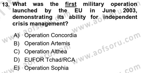 The European Union And Global Politics Dersi 2024 - 2025 Yılı (Vize) Ara Sınav Soruları 13. Soru