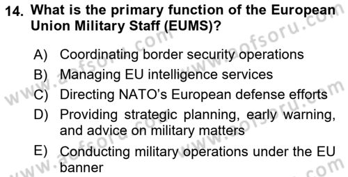 The European Union And Global Politics Dersi 2024 - 2025 Yılı (Vize) Ara Sınav Soruları 14. Soru