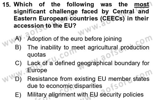 The European Union And Global Politics Dersi 2024 - 2025 Yılı (Vize) Ara Sınav Soruları 15. Soru
