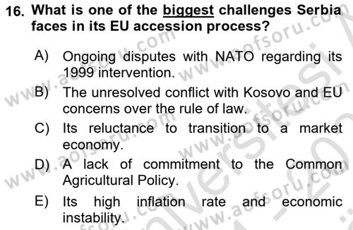 The European Union And Global Politics Dersi 2024 - 2025 Yılı (Vize) Ara Sınav Soruları 16. Soru