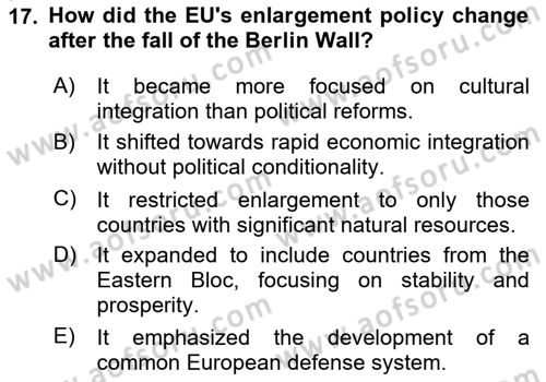 The European Union And Global Politics Dersi 2024 - 2025 Yılı (Vize) Ara Sınav Soruları 17. Soru
