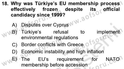 The European Union And Global Politics Dersi 2024 - 2025 Yılı (Vize) Ara Sınav Soruları 18. Soru