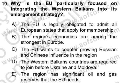 The European Union And Global Politics Dersi 2024 - 2025 Yılı (Vize) Ara Sınav Soruları 19. Soru