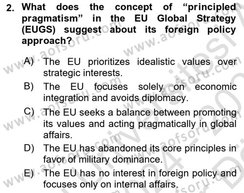 The European Union And Global Politics Dersi 2024 - 2025 Yılı (Vize) Ara Sınav Soruları 2. Soru