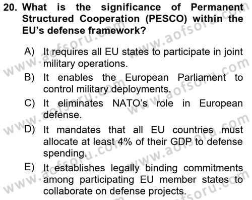 The European Union And Global Politics Dersi 2024 - 2025 Yılı (Vize) Ara Sınav Soruları 20. Soru