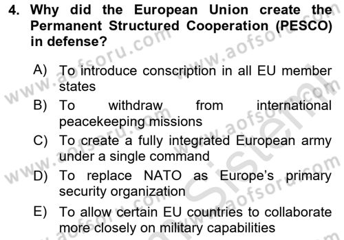 The European Union And Global Politics Dersi 2024 - 2025 Yılı (Vize) Ara Sınav Soruları 4. Soru