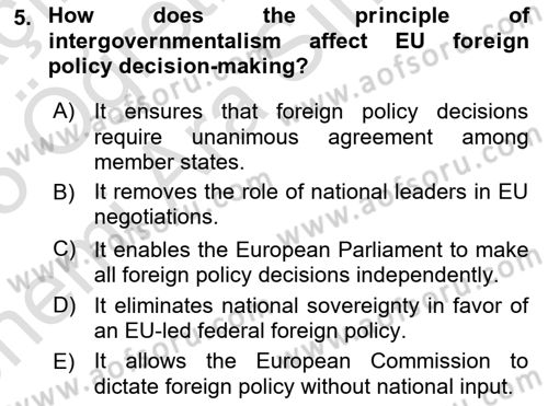 The European Union And Global Politics Dersi 2024 - 2025 Yılı (Vize) Ara Sınav Soruları 5. Soru