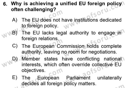 The European Union And Global Politics Dersi 2024 - 2025 Yılı (Vize) Ara Sınav Soruları 6. Soru