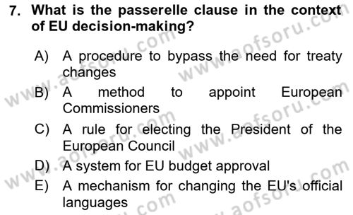 The European Union And Global Politics Dersi 2024 - 2025 Yılı (Vize) Ara Sınav Soruları 7. Soru