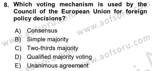 The European Union And Global Politics Dersi 2024 - 2025 Yılı (Vize) Ara Sınav Soruları 8. Soru