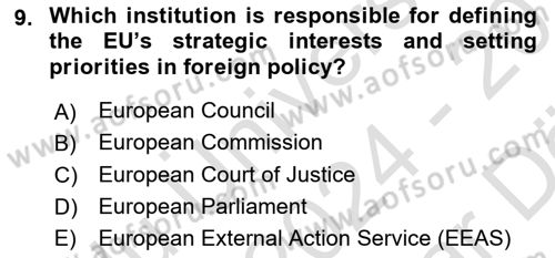 The European Union And Global Politics Dersi 2024 - 2025 Yılı (Vize) Ara Sınav Soruları 9. Soru