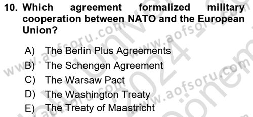 The European Union And Global Politics Dersi 2024 - 2025 Yılı (Final) Dönem Sonu Sınav Soruları 10. Soru