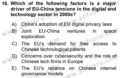 The European Union And Global Politics Dersi 2024 - 2025 Yılı (Final) Dönem Sonu Sınav Soruları 16. Soru