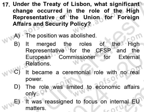 The European Union And Global Politics Dersi 2024 - 2025 Yılı (Final) Dönem Sonu Sınav Soruları 17. Soru