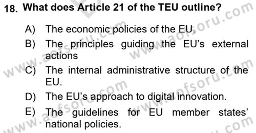 The European Union And Global Politics Dersi 2024 - 2025 Yılı (Final) Dönem Sonu Sınav Soruları 18. Soru