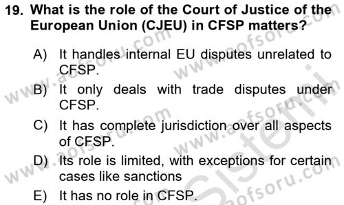 The European Union And Global Politics Dersi 2024 - 2025 Yılı (Final) Dönem Sonu Sınav Soruları 19. Soru