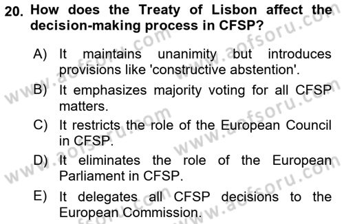 The European Union And Global Politics Dersi 2024 - 2025 Yılı (Final) Dönem Sonu Sınav Soruları 20. Soru