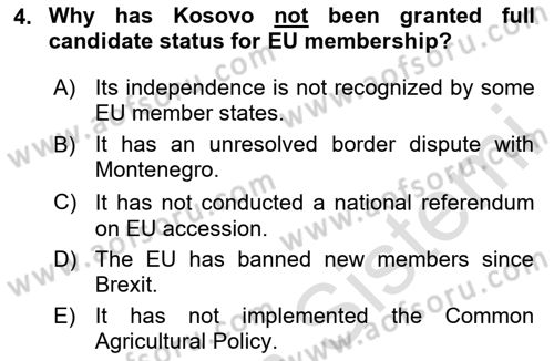 The European Union And Global Politics Dersi 2024 - 2025 Yılı (Final) Dönem Sonu Sınav Soruları 4. Soru