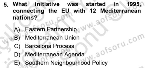 The European Union And Global Politics Dersi 2024 - 2025 Yılı (Final) Dönem Sonu Sınav Soruları 5. Soru