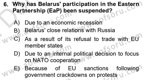 The European Union And Global Politics Dersi 2024 - 2025 Yılı (Final) Dönem Sonu Sınav Soruları 6. Soru