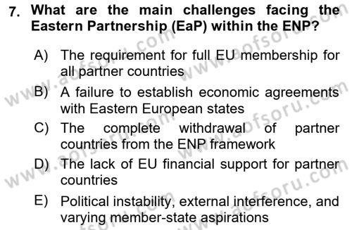 The European Union And Global Politics Dersi 2024 - 2025 Yılı (Final) Dönem Sonu Sınav Soruları 7. Soru