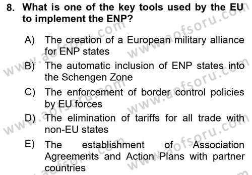 The European Union And Global Politics Dersi 2024 - 2025 Yılı (Final) Dönem Sonu Sınav Soruları 8. Soru