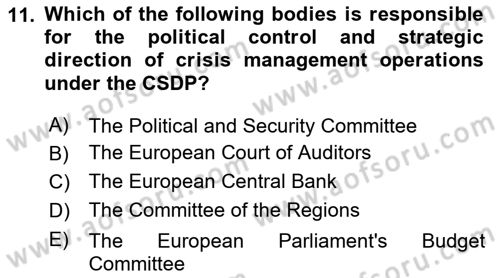 The European Union And Global Politics Dersi 2025 - 2026 Yılı (Vize) Ara Sınav Soruları 11. Soru