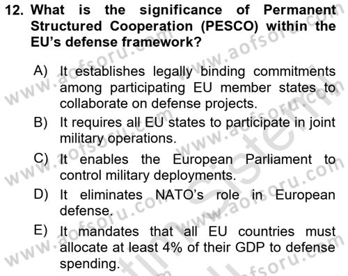 The European Union And Global Politics Dersi 2025 - 2026 Yılı (Vize) Ara Sınav Soruları 12. Soru