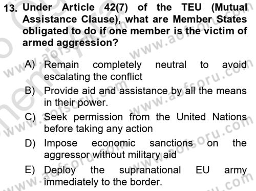 The European Union And Global Politics Dersi 2025 - 2026 Yılı (Vize) Ara Sınav Soruları 13. Soru