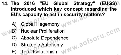 The European Union And Global Politics Dersi 2025 - 2026 Yılı (Vize) Ara Sınav Soruları 14. Soru