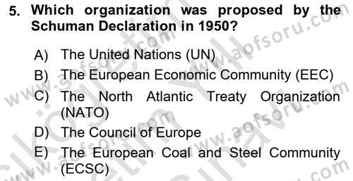 The European Union And Global Politics Dersi 2025 - 2026 Yılı (Vize) Ara Sınav Soruları 5. Soru