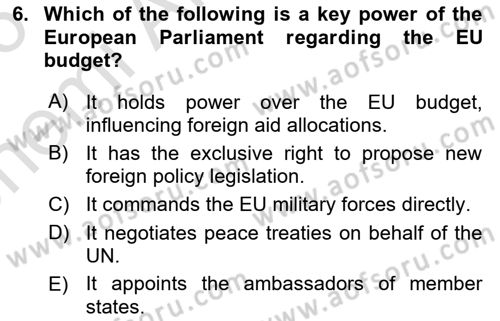 The European Union And Global Politics Dersi 2025 - 2026 Yılı (Vize) Ara Sınav Soruları 6. Soru