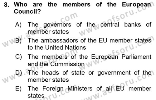 The European Union And Global Politics Dersi 2025 - 2026 Yılı (Vize) Ara Sınav Soruları 8. Soru