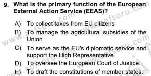 The European Union And Global Politics Dersi 2025 - 2026 Yılı (Vize) Ara Sınav Soruları 9. Soru