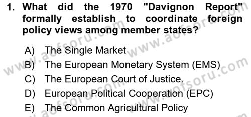 The European Union And Global Politics Dersi 2025 - 2026 Yılı (Final) Dönem Sonu Sınav Soruları 1. Soru