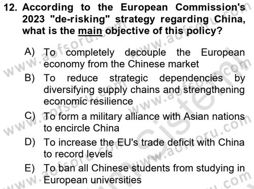 The European Union And Global Politics Dersi 2025 - 2026 Yılı (Final) Dönem Sonu Sınav Soruları 12. Soru