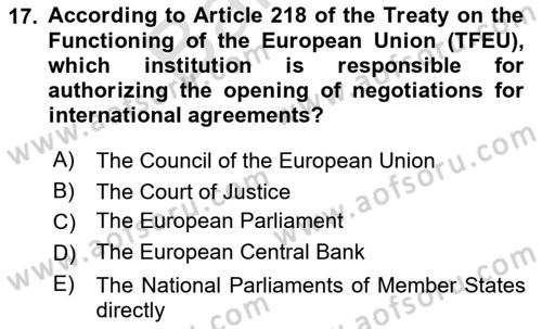 The European Union And Global Politics Dersi 2025 - 2026 Yılı (Final) Dönem Sonu Sınav Soruları 17. Soru