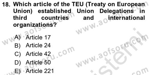 The European Union And Global Politics Dersi 2025 - 2026 Yılı (Final) Dönem Sonu Sınav Soruları 18. Soru