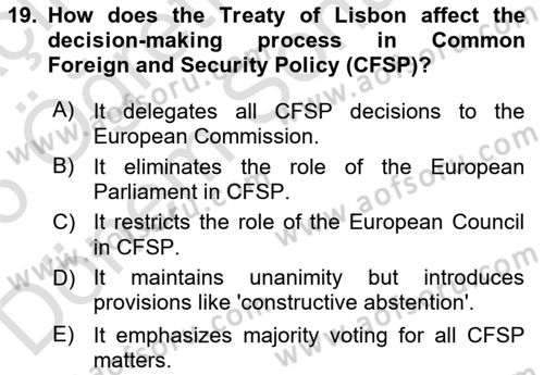 The European Union And Global Politics Dersi 2025 - 2026 Yılı (Final) Dönem Sonu Sınav Soruları 19. Soru