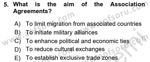 The European Union And Global Politics Dersi 2025 - 2026 Yılı (Final) Dönem Sonu Sınav Soruları 5. Soru