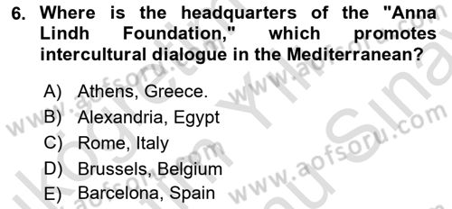 The European Union And Global Politics Dersi 2025 - 2026 Yılı (Final) Dönem Sonu Sınav Soruları 6. Soru