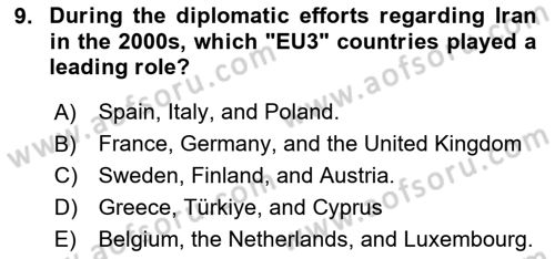 The European Union And Global Politics Dersi 2025 - 2026 Yılı (Final) Dönem Sonu Sınav Soruları 9. Soru