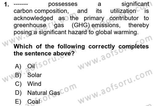 Energy Economics Dersi 2024 - 2025 Yılı (Vize) Ara Sınav Soruları 1. Soru
