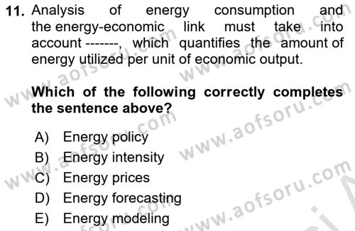 Energy Economics Dersi 2024 - 2025 Yılı (Vize) Ara Sınav Soruları 11. Soru