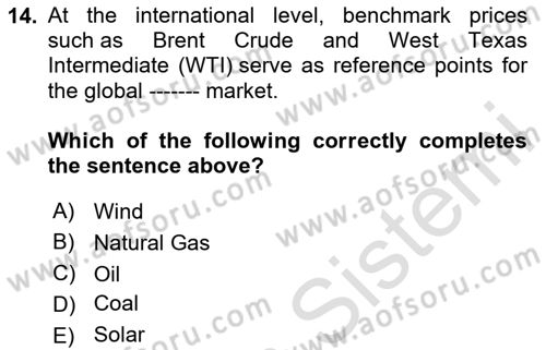 Energy Economics Dersi 2024 - 2025 Yılı (Vize) Ara Sınav Soruları 14. Soru