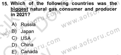 Energy Economics Dersi 2024 - 2025 Yılı (Vize) Ara Sınav Soruları 15. Soru