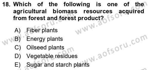 Energy Economics Dersi 2024 - 2025 Yılı (Vize) Ara Sınav Soruları 18. Soru
